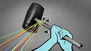 Illustration by Tara Jacoby